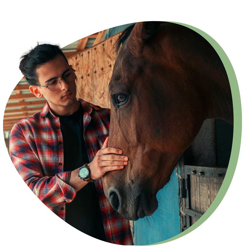 Image d'un homme et d'un cheval. Illustration pour la formation de comportementaliste animalier EPC du CEEPHAO.
