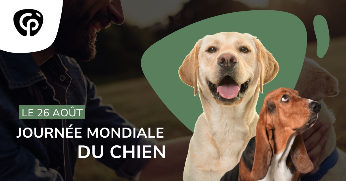 Journée mondiale du chien