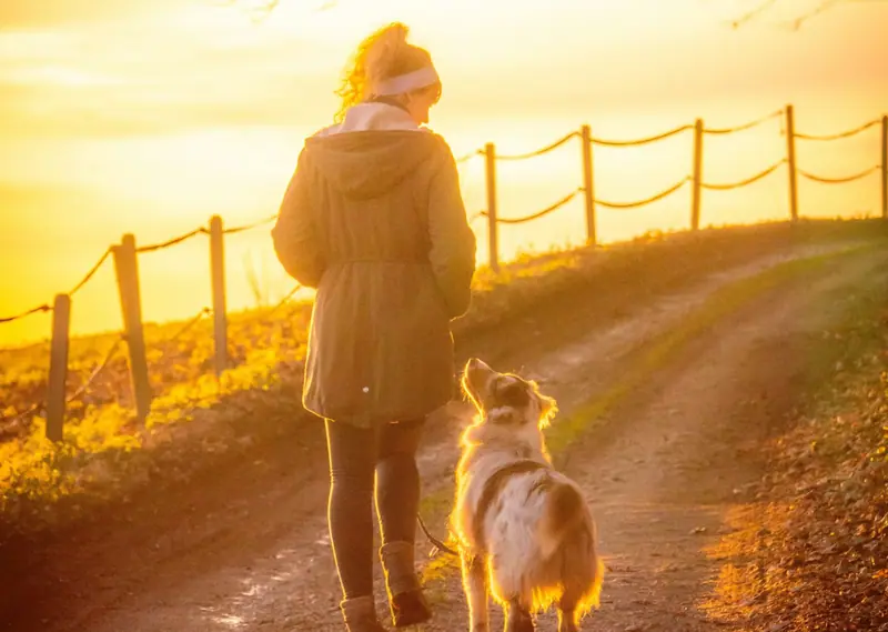 Une femme et son chien qui marchent sur un chemin au coucher du soleil
