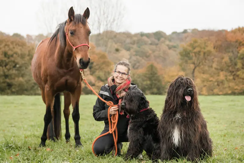 Une femme dans un pré avec un cheval et deux chiens de berger à poil long