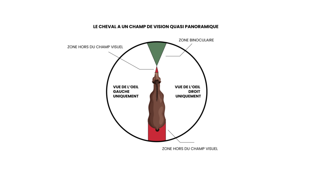 Cheval