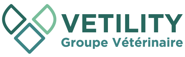groupe vetility groupe vetility