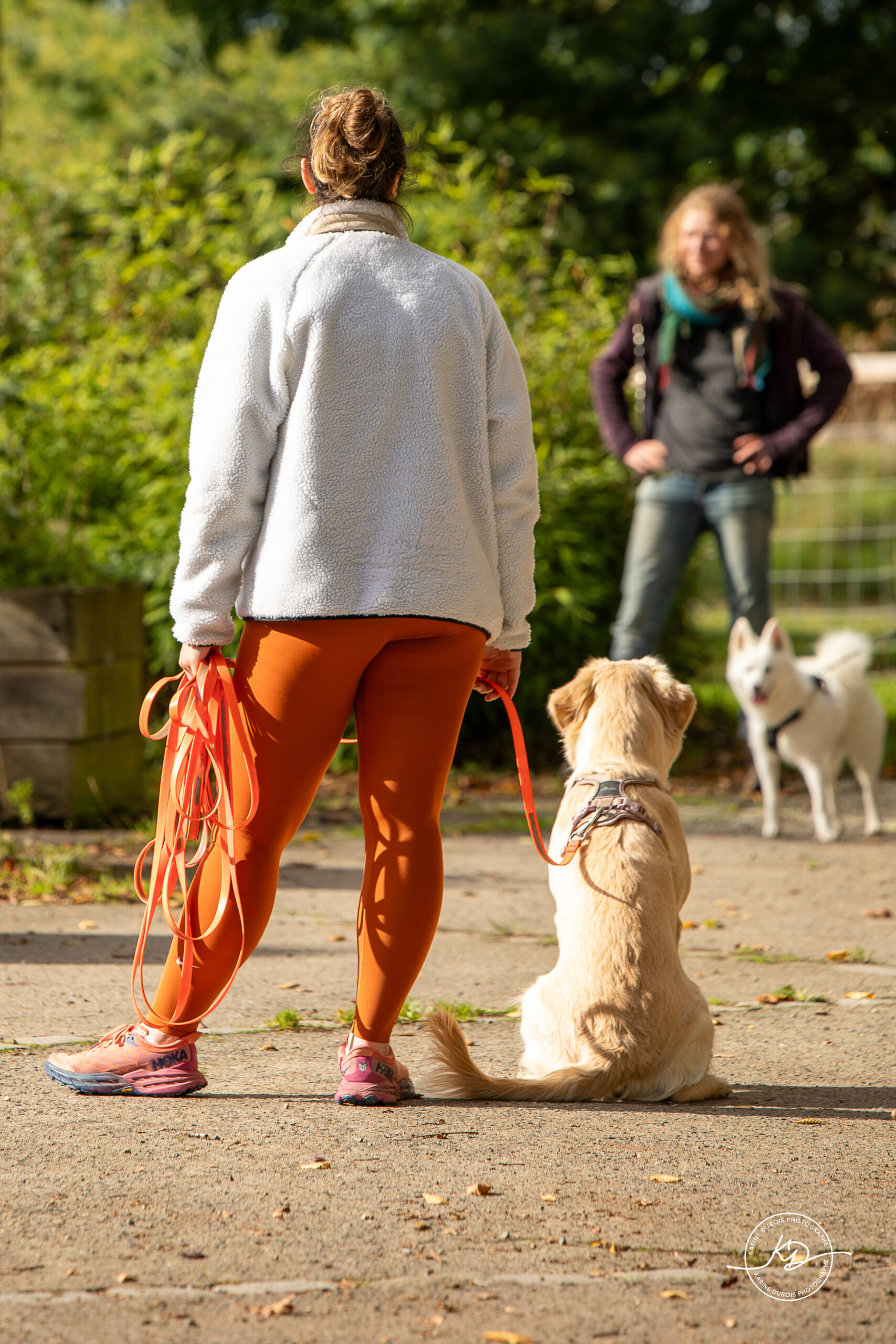 Formation educateur canin 2 scaled