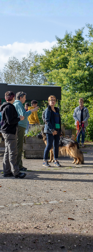 chien qui lève la patte sur une fleur