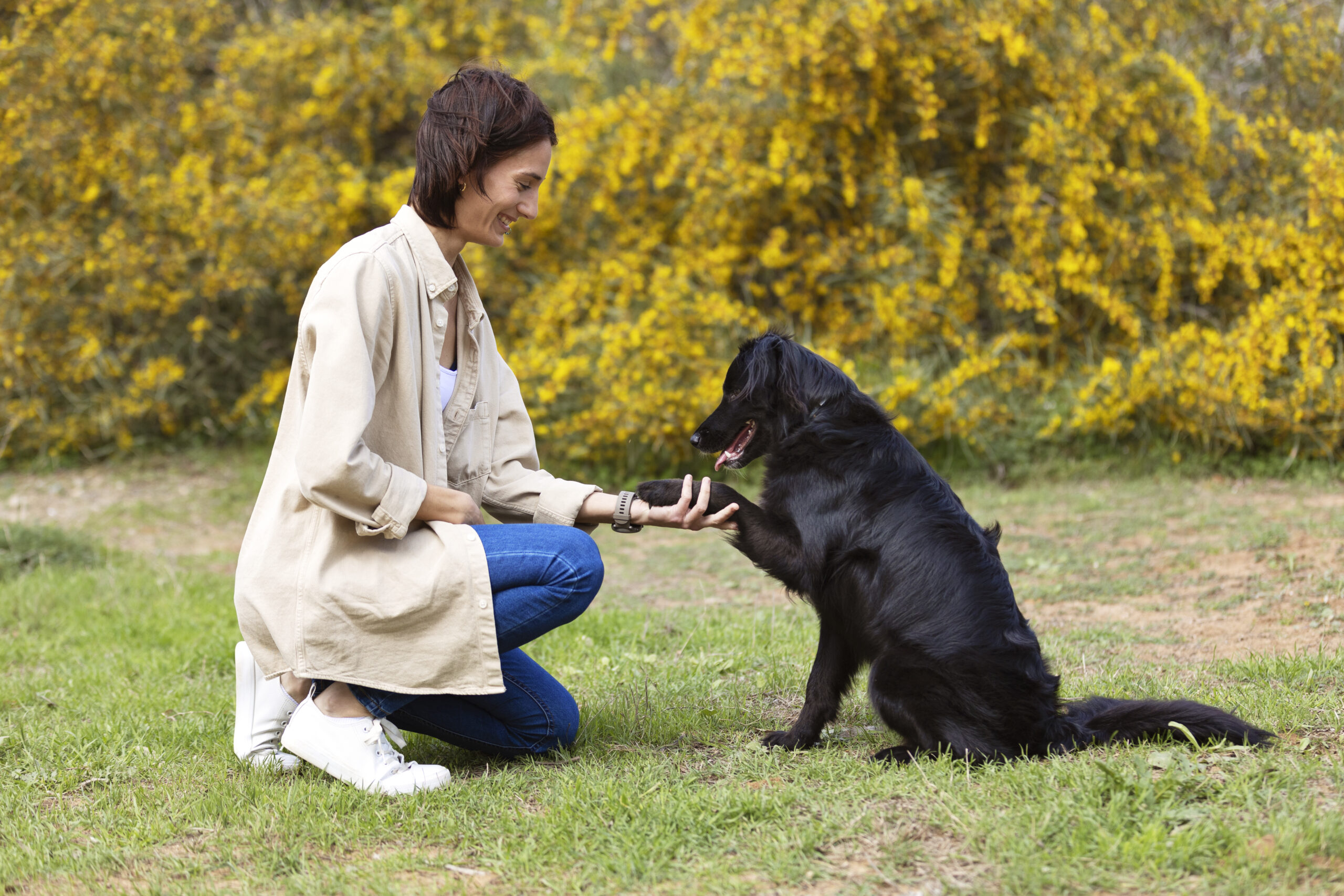 cours d'éducation canine