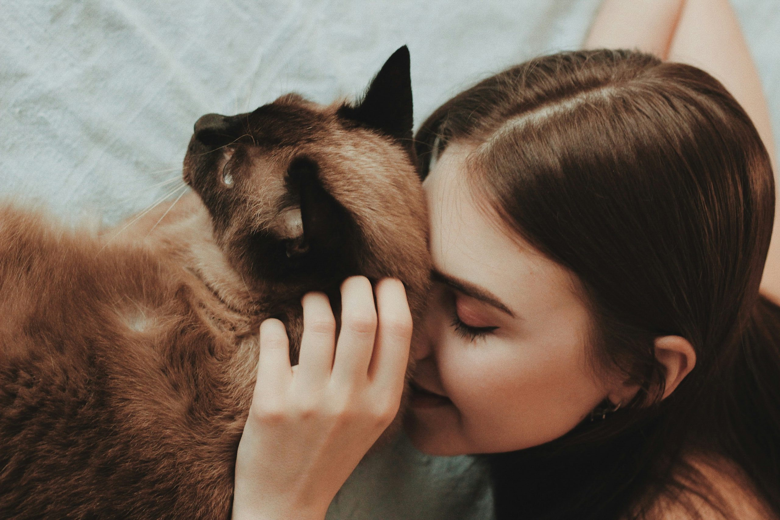 humaine et chat qui se font un calin