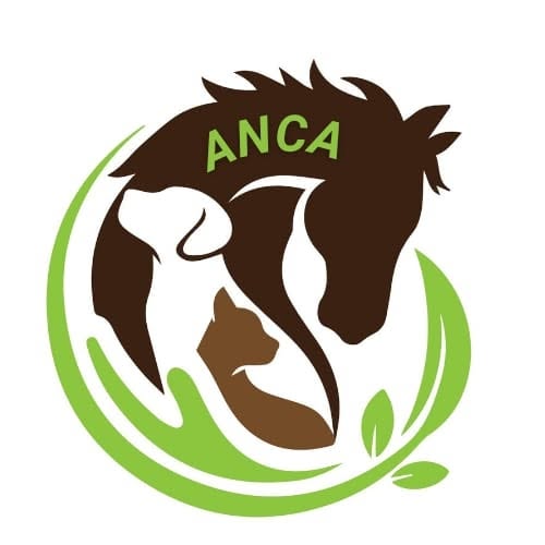 anca-logo Logo de Planète Urgence.