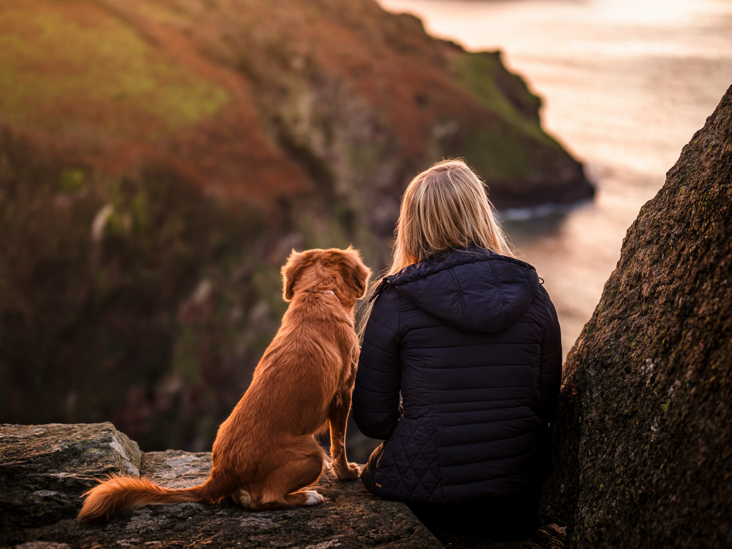 chien humain montagne scaled
